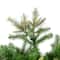 5.5ft. Unlit Cashmere Pine Artificial Christmas Tree